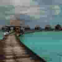 Google Shopping Leads Finder